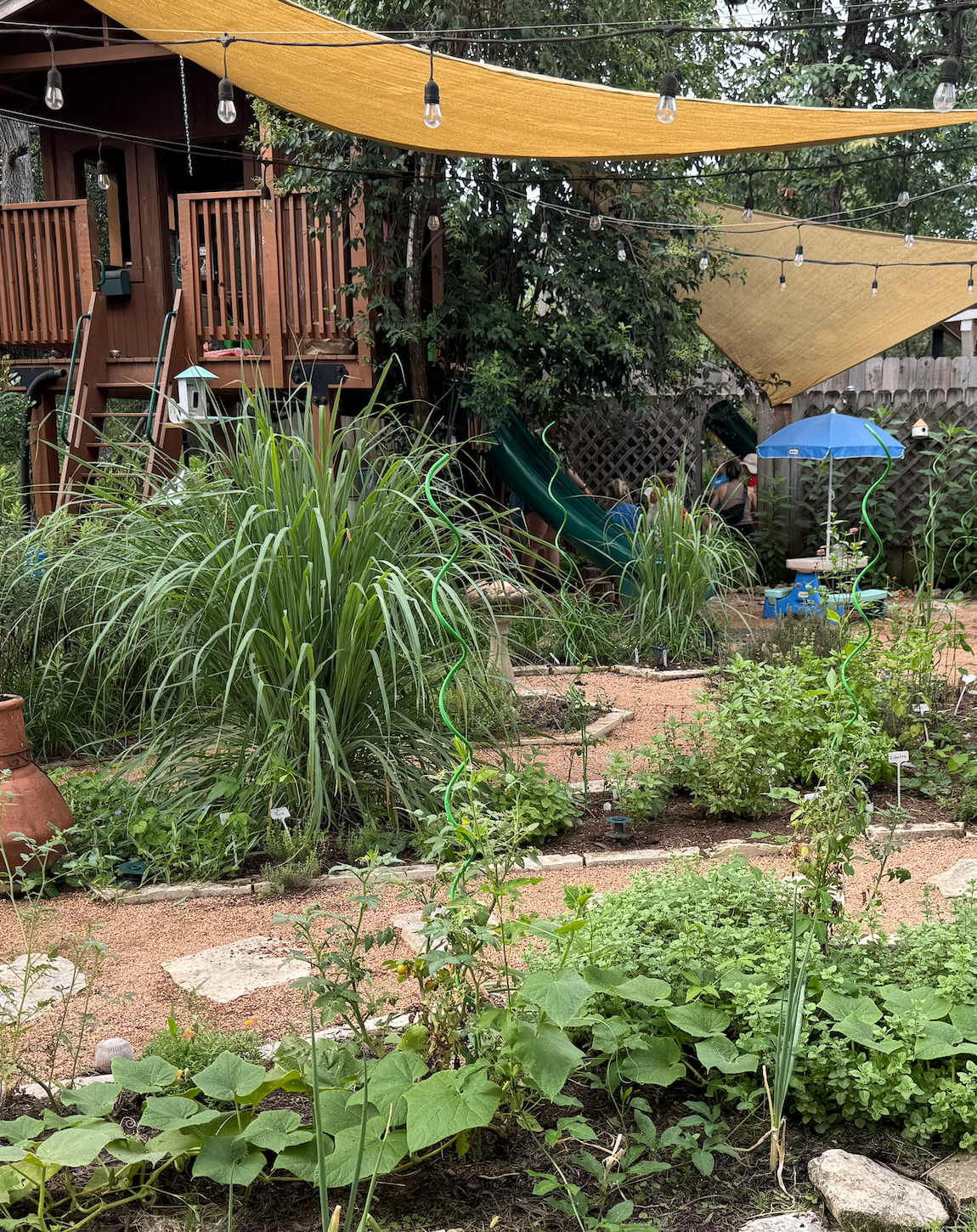 EverWild's backyard garden with treehouse, shade sails, and herb beds