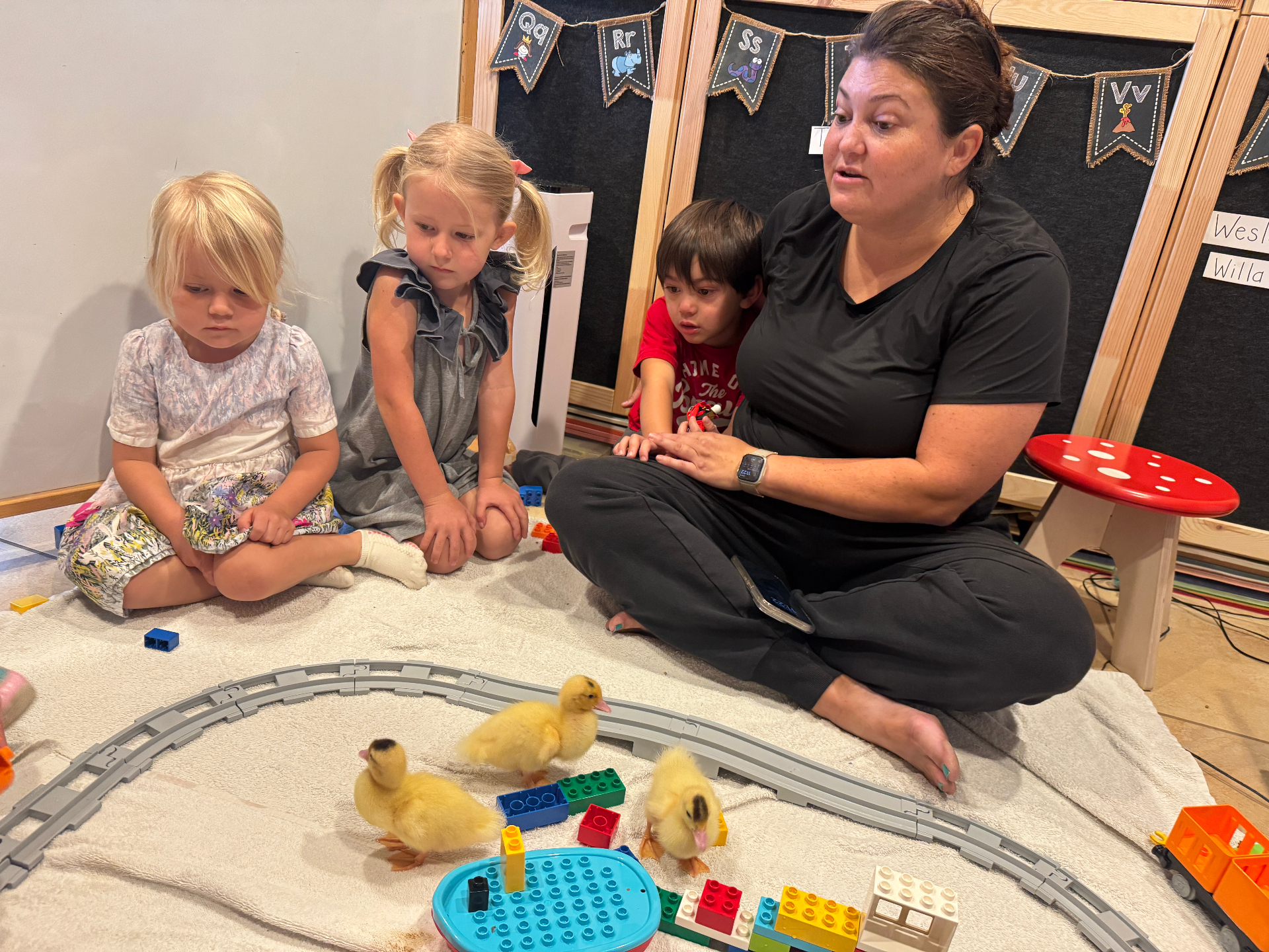 Sarah introducing children to baby ducklings in the classroom